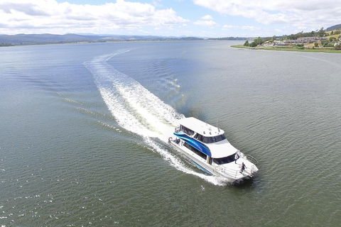 2.5 Hour Morning Discovery Cruise Including Sailing Into The Cataract Gorge - SA Accommodation 0