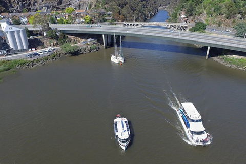 2.5 Hour Morning Discovery Cruise Including Sailing Into The Cataract Gorge - SA Accommodation 4
