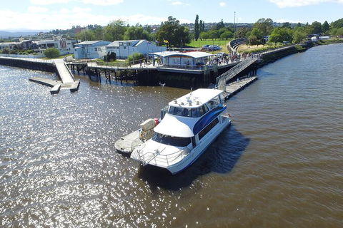 2.5 Hour Morning Discovery Cruise Including Sailing Into The Cataract Gorge - SA Accommodation 3