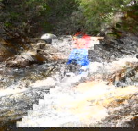 Half Day Cradle Mountain Canyoning Lost World Canyon - SA Accommodation