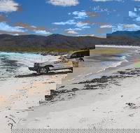 4X4 and Lunch Half Day Bicheno Coastal Mountain - SA Accommodation