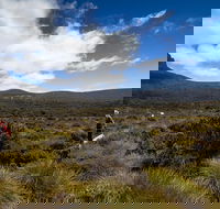 6-Day Overland Track PhotoTour - SA Accommodation