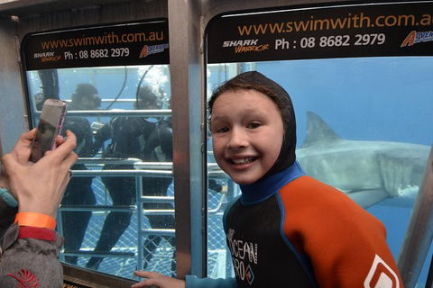 White Shark Tour With Optional Cage Dive From Port Lincoln - SA Accommodation 8