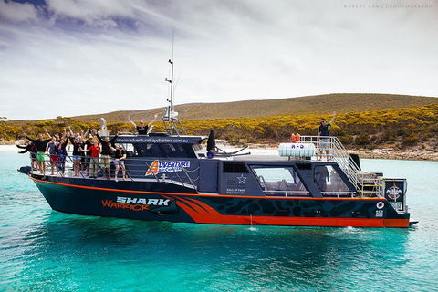 White Shark Tour With Optional Cage Dive From Port Lincoln - SA Accommodation 7