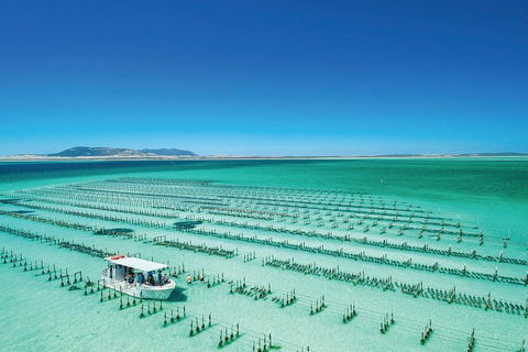 Coffin Bay Private Day Tour From Port Lincoln - A Taste Of Coffin Bay - SA Accommodation 0