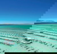 Coffin Bay Day Tour - A Taste of Coffin Bay - SA Accommodation
