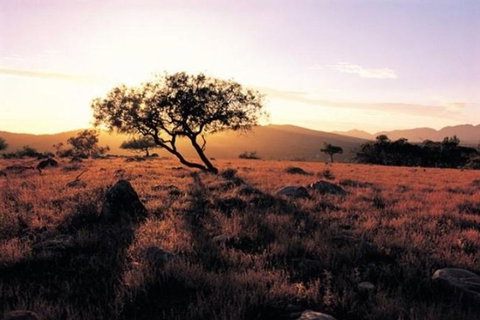 Adelaide To Coober Pedy 7 DAY SMALL GROUP 4WD SAFARI - SA Accommodation 0