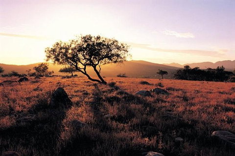 Adelaide To Coober Pedy 7 DAY SMALL GROUP 4WD SAFARI - SA Accommodation 4