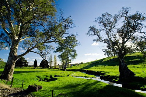 Adelaide Highlights And Hahndorf Tour With Optional River Cruise - SA Accommodation 0