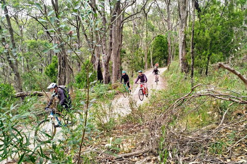 Mount Lofty Descent Bike Tour From Adelaide - SA Accommodation 5
