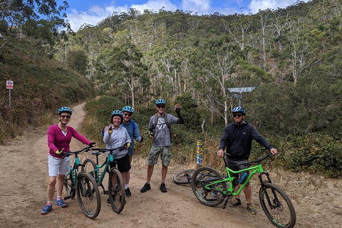 Mount Lofty Descent Bike Tour From Adelaide - SA Accommodation 6