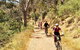 Mount Lofty Descent Bike Tour From Adelaide - thumb 3