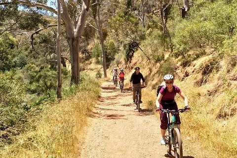 Mount Lofty Descent Bike Tour From Adelaide - SA Accommodation 3