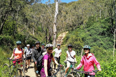 Mount Lofty Descent Bike Tour From Adelaide - SA Accommodation 2