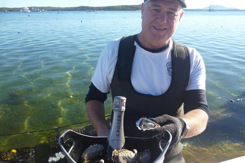Oyster Farm And Tasting Tour With Hotel Pick-up And Return From Port Lincoln - SA Accommodation 0