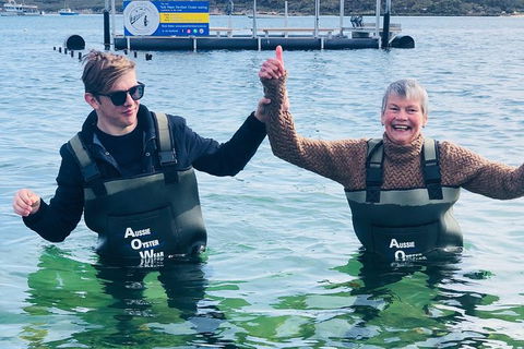 Oyster Farm And Tasting Tour With Hotel Pick-up And Return From Port Lincoln - SA Accommodation 5