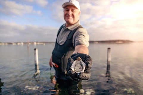 Oyster Farm And Tasting Tour With Hotel Pick-up And Return From Port Lincoln - SA Accommodation 3