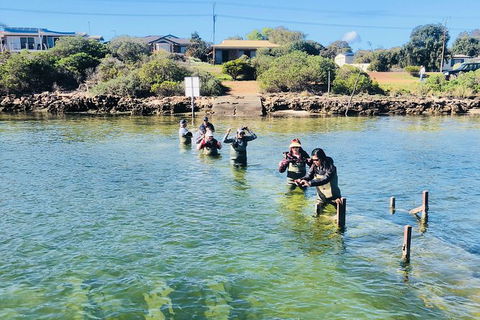 Oyster Farm And Tasting Tour With Hotel Pick-up And Return From Port Lincoln - SA Accommodation 6