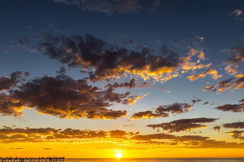 Adelaide Ocean Safari - Twilight Safari - SA Accommodation 1