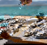Experience Coffin Bay Short and Sweet Oyster Farm Tour - SA Accommodation