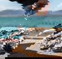 Experience Coffin Bay Oyster Farm and Bay Tour - SA Accommodation