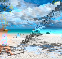 Whitehaven Beach Half-Day Cruises - SA Accommodation