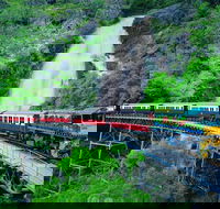 Full-Day Tour with Kuranda Scenic Railway Skyrail Rainforest Cableway and Hartley's Crocodile Adventures from Cairns - SA Accommodation