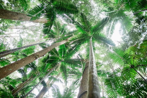 All-Inclusive 2-Day Fraser Island Tour - SA Accommodation 8