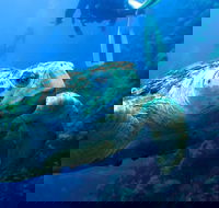 Scuba Dive the S.S. Yongala Wreck on the Great Barrier Reef. - SA Accommodation