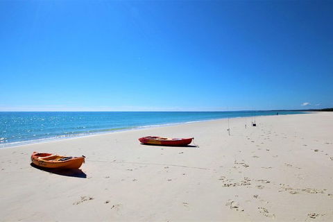 Fraser Island West Coast BBQ Lunch Cruise From Hervey Bay Including Kayaking And Swimming - SA Accommodation 8