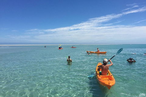 Fraser Island West Coast BBQ Lunch Cruise From Hervey Bay Including Kayaking And Swimming - SA Accommodation 9
