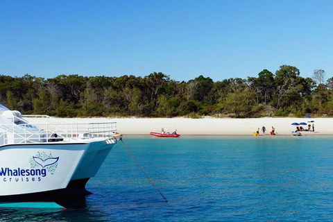 Fraser Island West Coast BBQ Lunch Cruise From Hervey Bay Including Kayaking And Swimming - SA Accommodation 10
