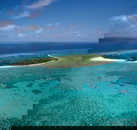 5-Day Fraser Island and Great Barrier Reef Tour - SA Accommodation