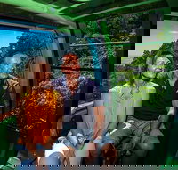 Skyrail Rainforest Cableway Day Trip from Palm Cove - SA Accommodation