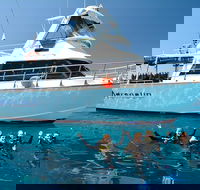 Great Barrier Reef Cruise from Townsville or Magnetic Island - SA Accommodation