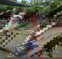 Hartley's Crocodile Adventures Day Trip from Cairns - SA Accommodation