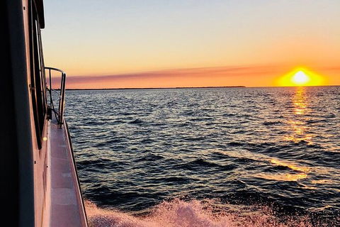 Hervey Bay Whale Swim And Watch - SA Accommodation 7