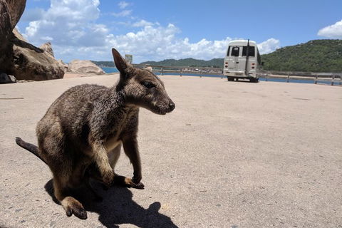 Magnetic Island Tour: Maggie Comprehensive - SA Accommodation 0