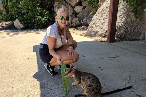 Magnetic Island Tour: Maggie Comprehensive - SA Accommodation 9