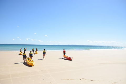 Half-Day Kayak With Dolphins And 4WD Beach Drive From Rainbow Beach - SA Accommodation 10