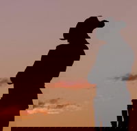 Townsville and the Australian Army Walking History Tour with Optional City Sightseeing - SA Accommodation