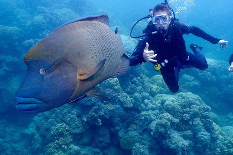 Calypso Outer Great Barrier Reef Cruise From Port Douglas - SA Accommodation 6