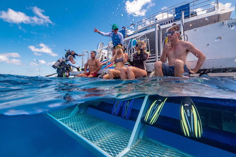 Calypso Outer Great Barrier Reef Cruise From Port Douglas - SA Accommodation 4