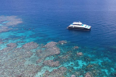 Calypso Outer Great Barrier Reef Cruise From Port Douglas - SA Accommodation 11