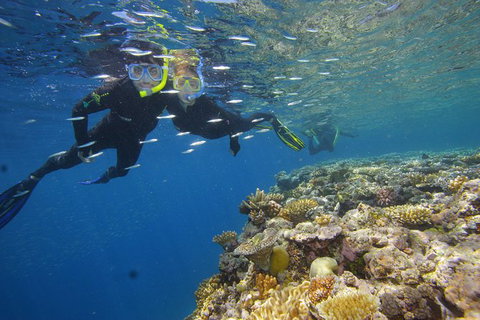Calypso Outer Great Barrier Reef Cruise From Port Douglas - SA Accommodation 3