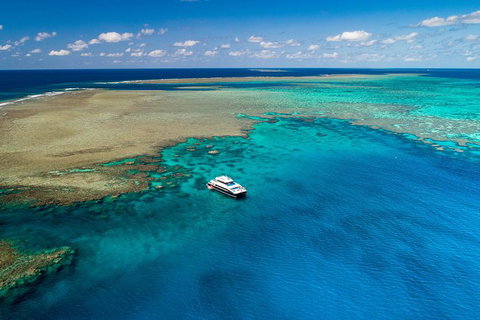 Calypso Outer Great Barrier Reef Cruise From Port Douglas - SA Accommodation 12