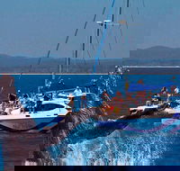 Blue Dolphin Exclusive Whale Watch Encounters - SA Accommodation
