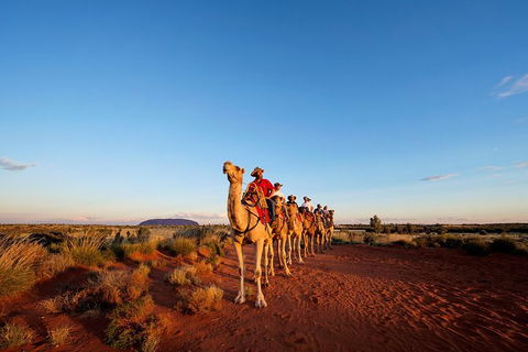 Uluru Small-Group Tour By Camel At Sunrise Or Sunset - SA Accommodation 0
