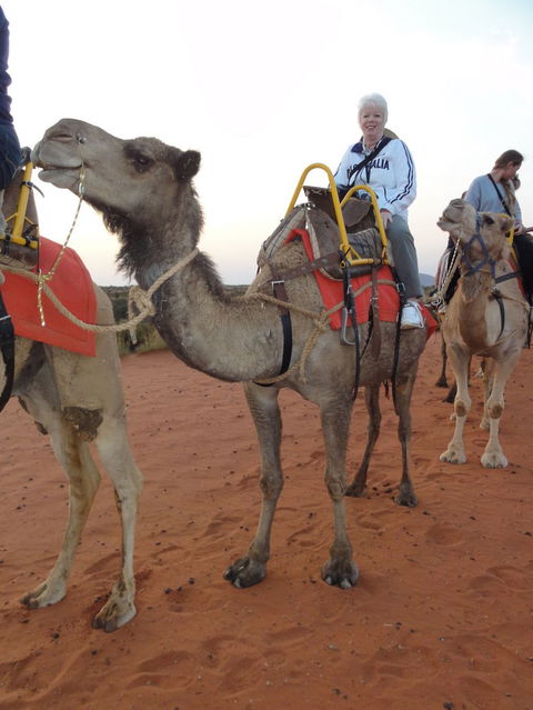 Uluru Small-Group Tour By Camel At Sunrise Or Sunset - SA Accommodation 2