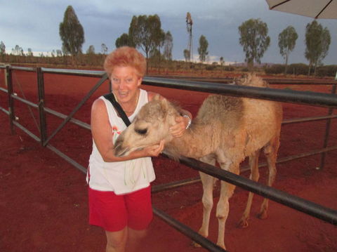 Uluru Small-Group Tour By Camel At Sunrise Or Sunset - SA Accommodation 18